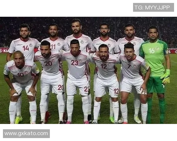 突尼斯足球历史第一球星的崛起与辉煌成就揭秘